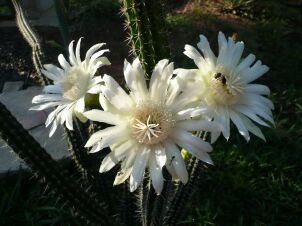 Zwischendurch ein Daaanke