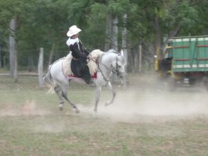 Reiterei in Paraguay