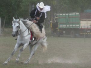 Reiterei in Paraguay