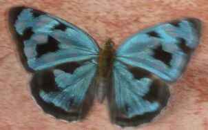 Weiter gehts in Paraguay