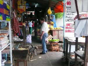 Endlich Regen in Paraguay