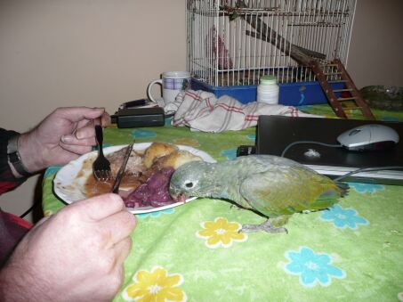 Auf Schultern getragen