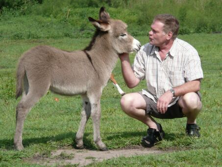 Duffy, Jimmy, Micky und Anderes