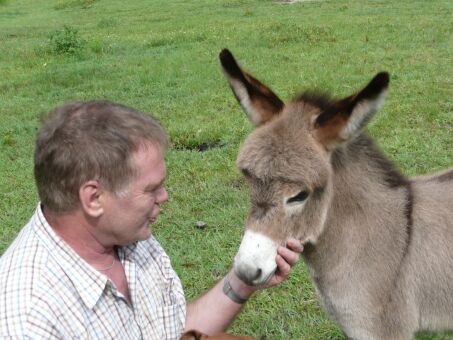 Duffy, Jimmy, Micky und Anderes