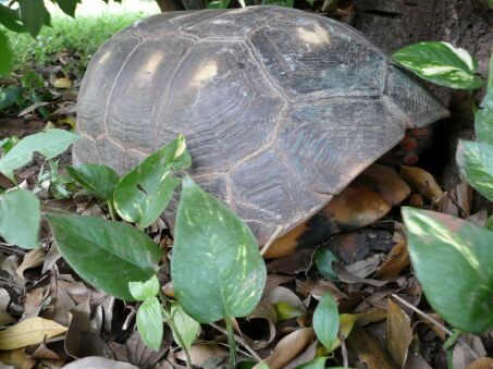 Ein Mönchsbaby,einfach Bilder,  Miss Altos Wahl am Wochenende