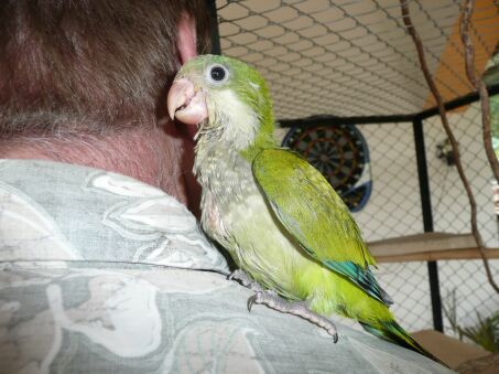 Weihnachtliche Zeit in Paraguay mit viel Bildern
