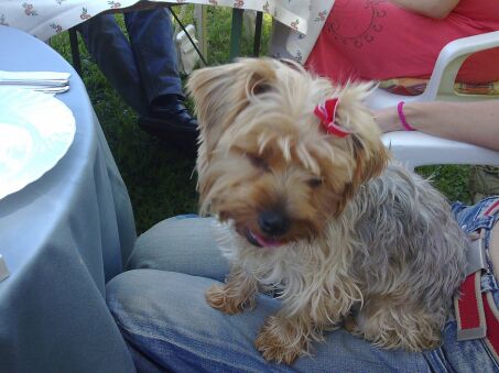 Weihnachtliche Zeit in Paraguay mit viel Bildern