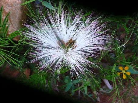 Bilder, Bilder, Bilder, Dies und Das