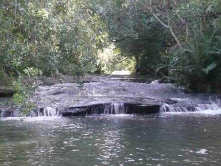 Bilder, Bilder, Bilder, Dies und Das