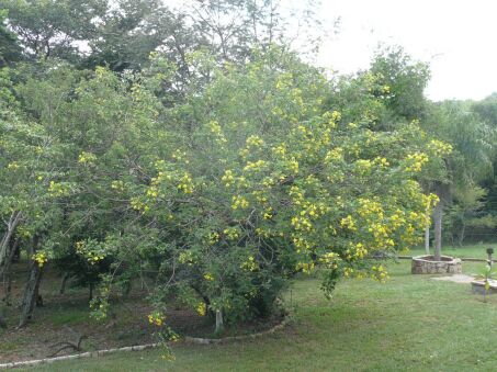 Frohe Ostern wünschen aus Paraguay
