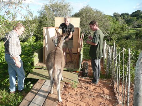 Nun sind Duffy und Jimmy da !!!!!