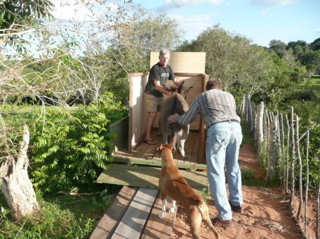 Nun sind Duffy und Jimmy da !!!!!