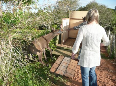 Nun sind Duffy und Jimmy da !!!!!