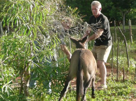 Nun sind Duffy und Jimmy da !!!!!