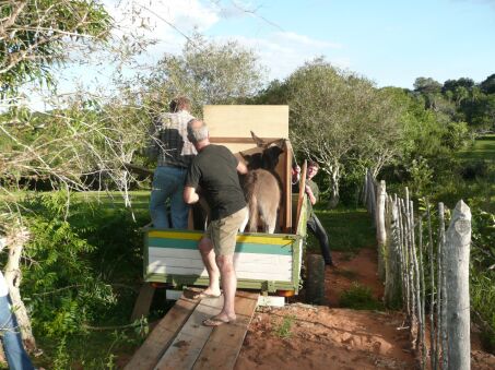 Nun sind Duffy und Jimmy da !!!!!