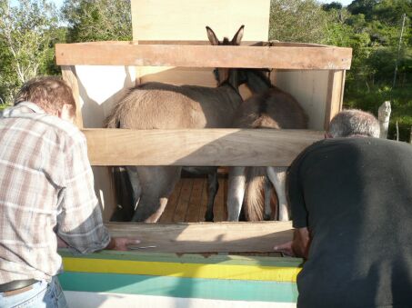 Nun sind Duffy und Jimmy da !!!!!