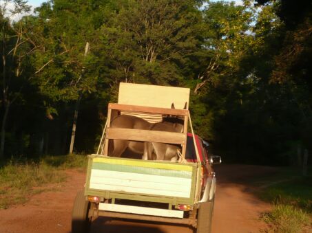 Nun sind Duffy und Jimmy da !!!!!