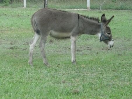 Nun sind Duffy und Jimmy da !!!!!