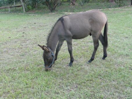 Nun sind Duffy und Jimmy da !!!!!