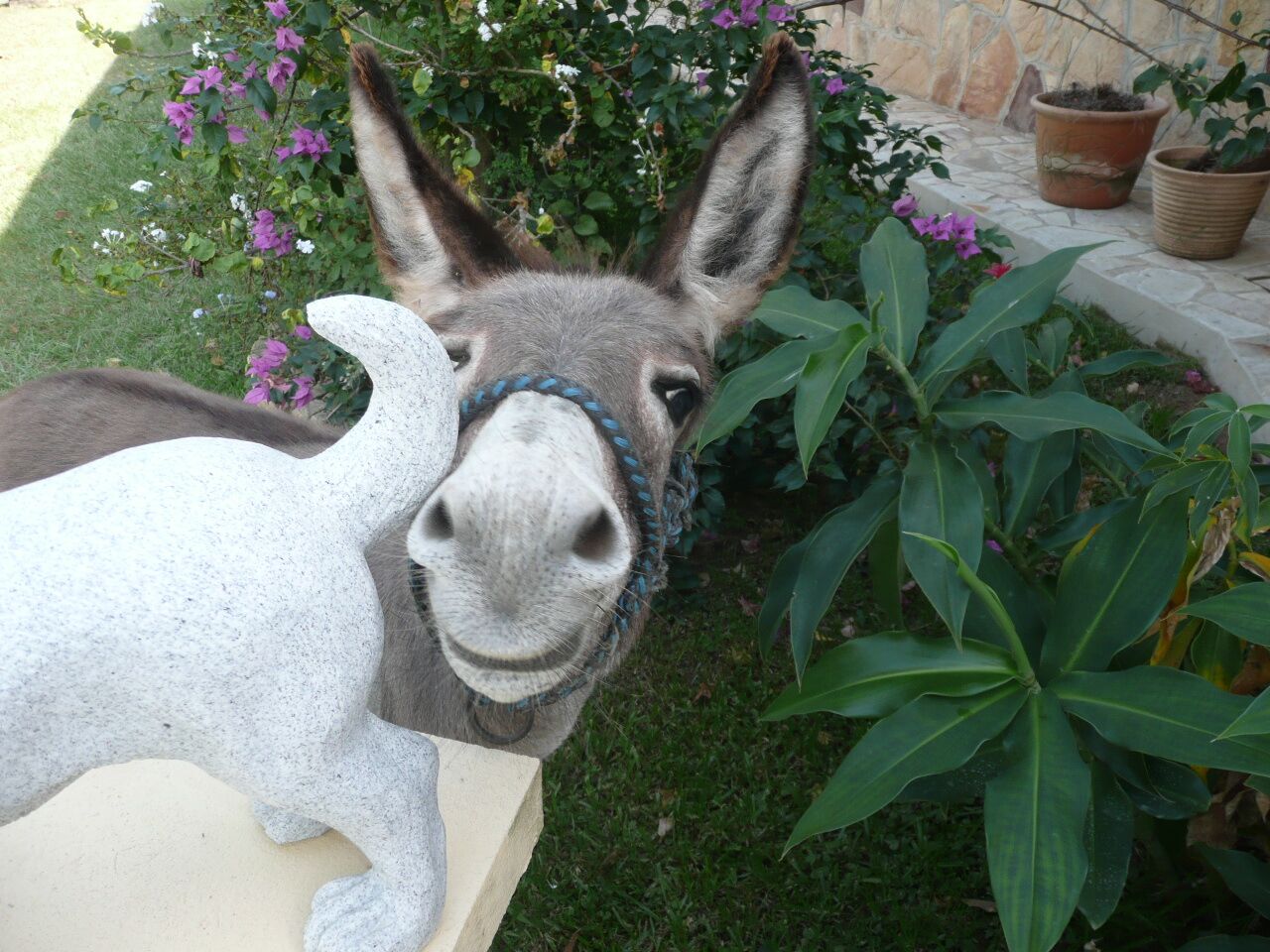 Quarktorte 2.Teil nein, Zwischenteil, ich bin nun mal so