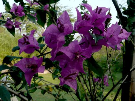 Wir sind sehr traurig