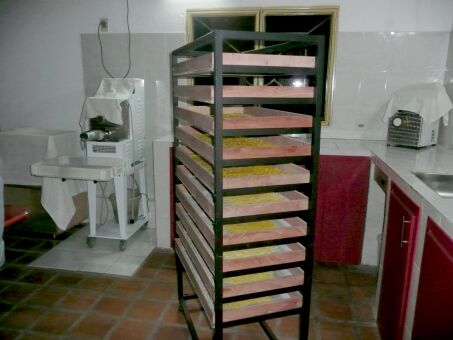 René, der Nudelkönig aus der Schweiz