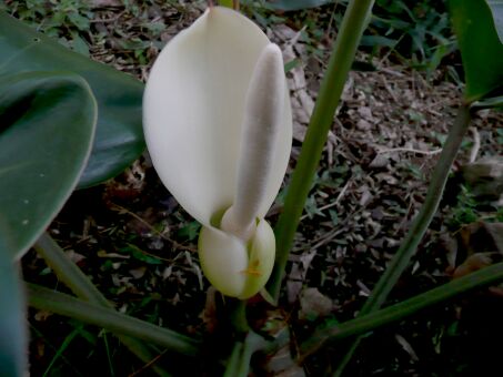 Wir sind sehr traurig