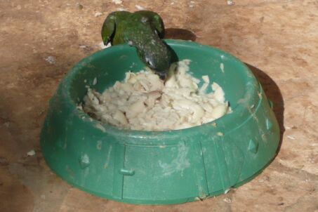 Wir sind sehr traurig