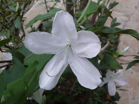 Alltägliche Kleinigkeiten in Paraguay