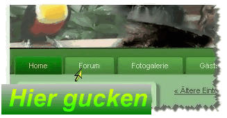 Ich habe jetzt auch ein neues Forum !!!!!!!