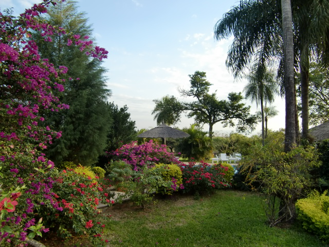 Nun der zweite Teil "El Gaucho"