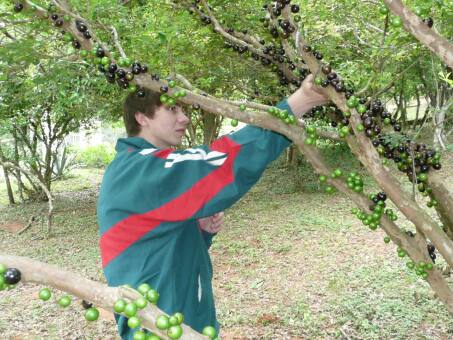 Lorenz aus dem schönen Weimar ist da