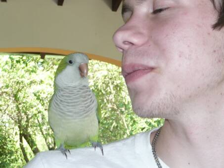 Lorenz aus dem schönen Weimar ist da