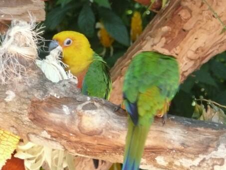 Lorenz ist wieder in Deutschland