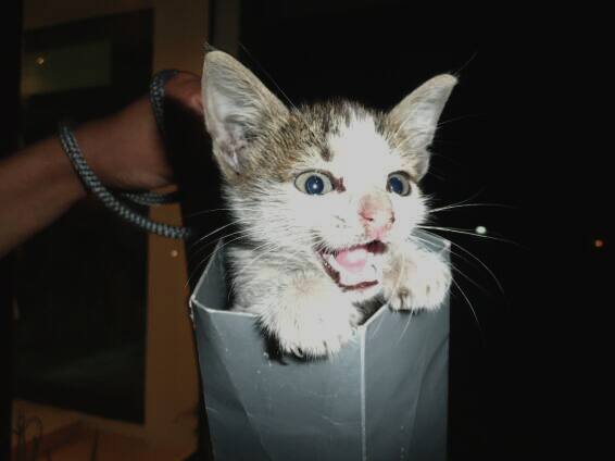 meine nächsten Artikel