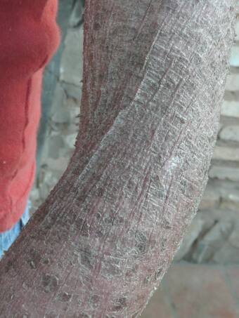 Cinthia und die Hilfe aus Deutschland