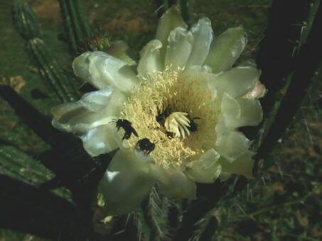 Damit es nicht zu langweilig wird