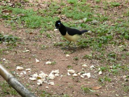 Damit es nicht zu langweilig wird
