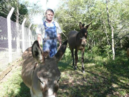  das Weihnachtsfest ist schon bedenklich nahe