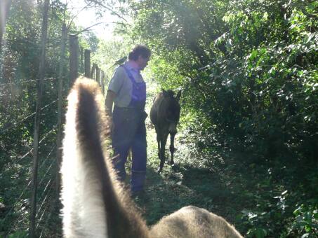  das Weihnachtsfest ist schon bedenklich nahe