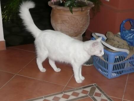 Grillsylvesterparty von 20 Uhr bis 6 Uhr !!!!!!!