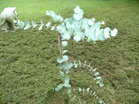 trübes Wetter, aber gute Aussichten