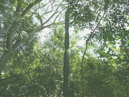 trübes Wetter, aber gute Aussichten