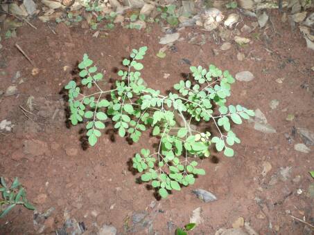 trübes Wetter, aber gute Aussichten