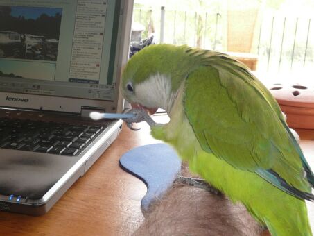 Fritzi von Altos zu Paraguay