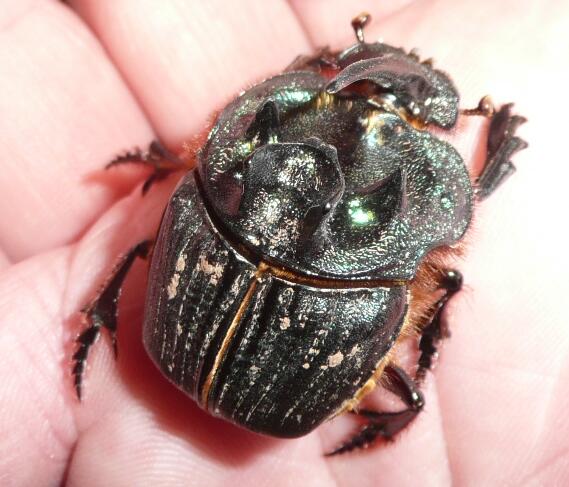 Ein (fast) Alien hat uns besucht