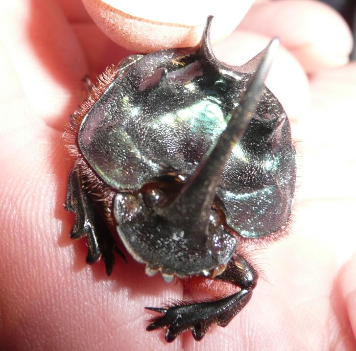 Ein (fast) Alien hat uns besucht