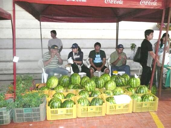 Obst u. Gemüsemarkt in San Bernardino eröffnet