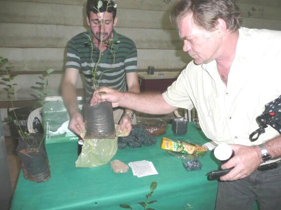Obst u. Gemüsemarkt in San Bernardino eröffnet
