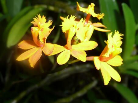 Paraguay im November